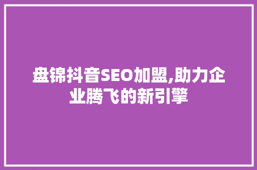 盘锦抖音SEO加盟,助力企业腾飞的新引擎
