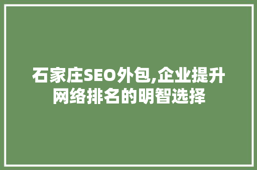 石家庄SEO外包,企业提升网络排名的明智选择