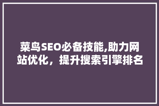 菜鸟SEO必备技能,助力网站优化，提升搜索引擎排名