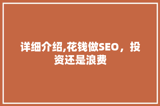 详细介绍,花钱做SEO，投资还是浪费
