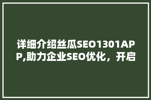 详细介绍丝瓜SEO1301APP,助力企业SEO优化，开启网络营销新篇章