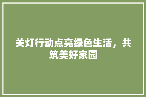 关灯行动点亮绿色生活，共筑美好家园