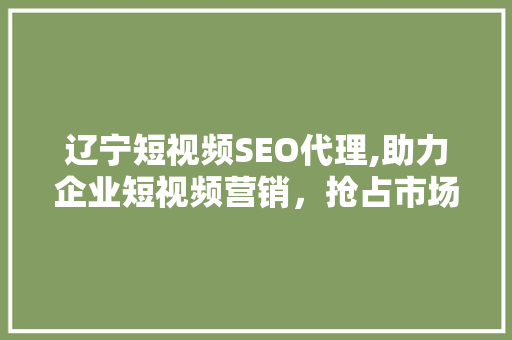 辽宁短视频SEO代理,助力企业短视频营销，抢占市场先机