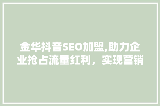 金华抖音SEO加盟,助力企业抢占流量红利，实现营销新突破