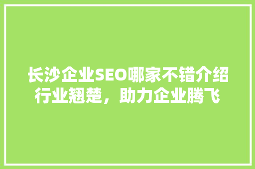 长沙企业SEO哪家不错介绍行业翘楚，助力企业腾飞