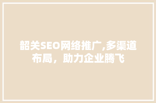 韶关SEO网络推广,多渠道布局，助力企业腾飞