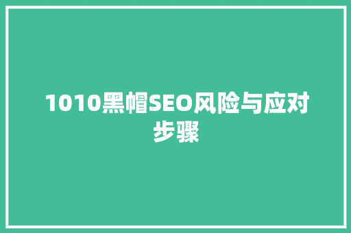 1010黑帽SEO风险与应对步骤