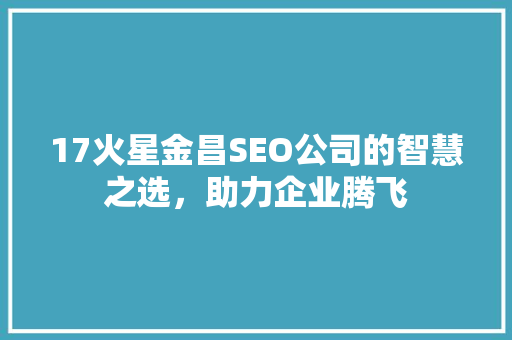 17火星金昌SEO公司的智慧之选，助力企业腾飞  第1张