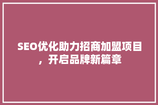 SEO优化助力招商加盟项目，开启品牌新篇章  第1张