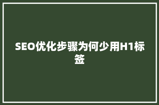 SEO优化步骤为何少用H1标签