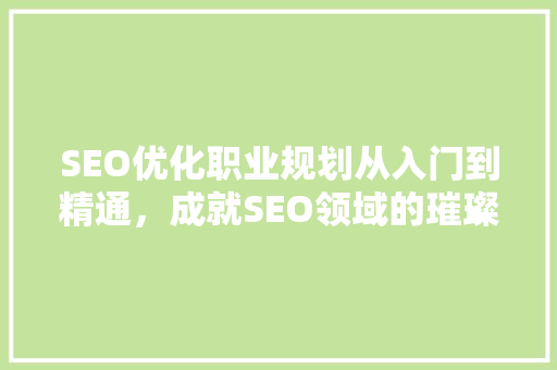 SEO优化职业规划从入门到精通，成就SEO领域的璀璨星辰