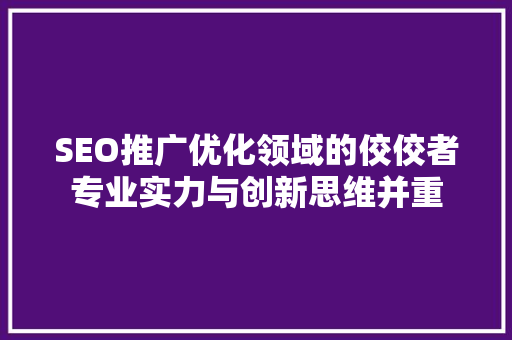 SEO推广优化领域的佼佼者专业实力与创新思维并重