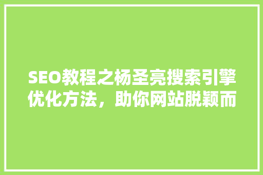 SEO教程之杨圣亮搜索引擎优化方法，助你网站脱颖而出