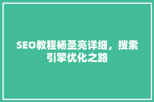 SEO教程杨圣亮详细，搜索引擎优化之路