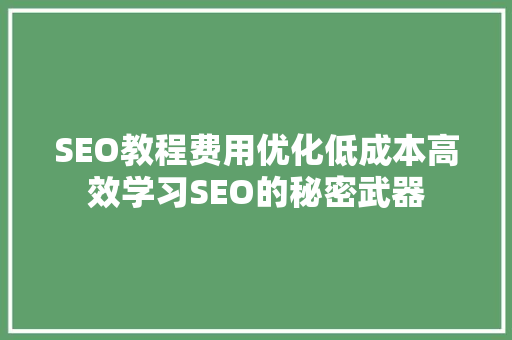 SEO教程费用优化低成本高效学习SEO的秘密武器