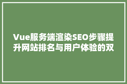 Vue服务端渲染SEO步骤提升网站排名与用户体验的双重法宝