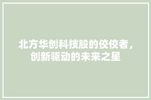北方华创科技股的佼佼者，创新驱动的未来之星