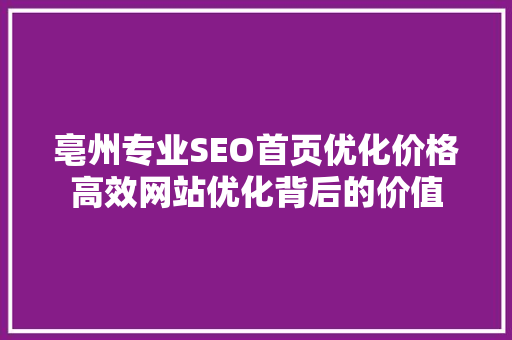 亳州专业SEO首页优化价格高效网站优化背后的价值