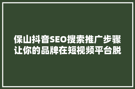 保山抖音SEO搜索推广步骤让你的品牌在短视频平台脱颖而出