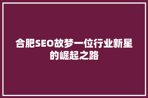 合肥SEO故梦一位行业新星的崛起之路