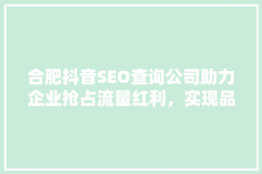 合肥抖音SEO查询公司助力企业抢占流量红利，实现品牌腾飞