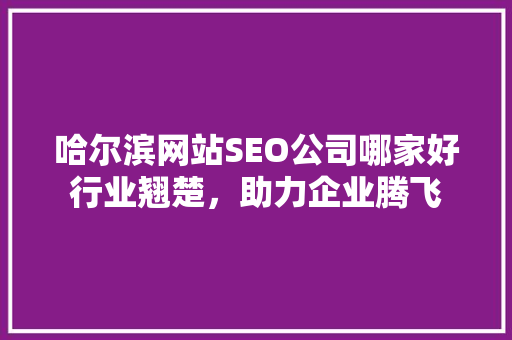 哈尔滨网站SEO公司哪家好行业翘楚，助力企业腾飞
