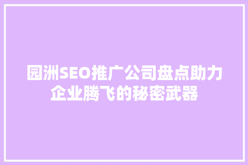 园洲SEO推广公司盘点助力企业腾飞的秘密武器  第1张