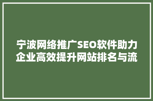 宁波网络推广SEO软件助力企业高效提升网站排名与流量