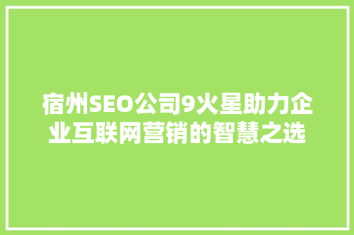 宿州SEO公司9火星助力企业互联网营销的智慧之选