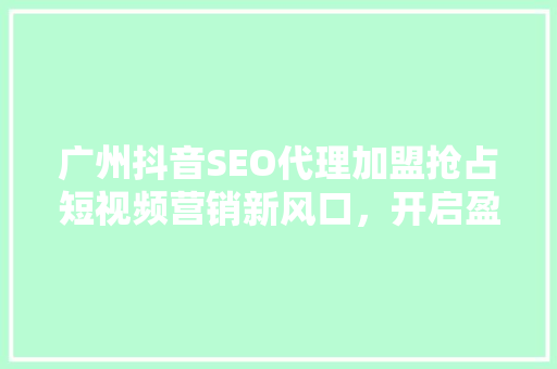 广州抖音SEO代理加盟抢占短视频营销新风口，开启盈利新篇章