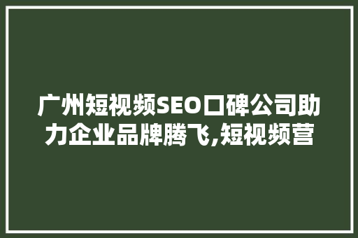 广州短视频SEO口碑公司助力企业品牌腾飞,短视频营销新趋势
