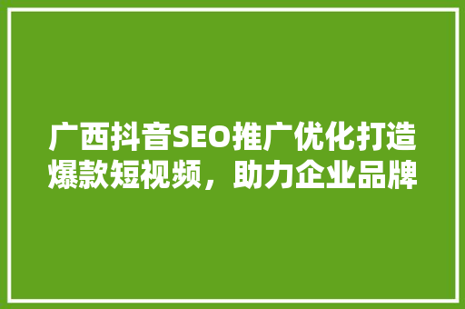 广西抖音SEO推广优化打造爆款短视频，助力企业品牌腾飞