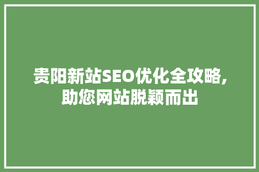 贵阳新站SEO优化全攻略,助您网站脱颖而出