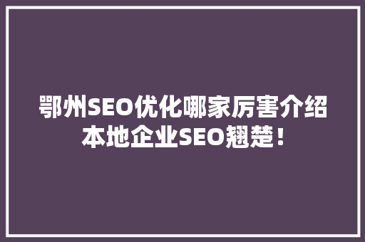 鄂州SEO优化哪家厉害介绍本地企业SEO翘楚！