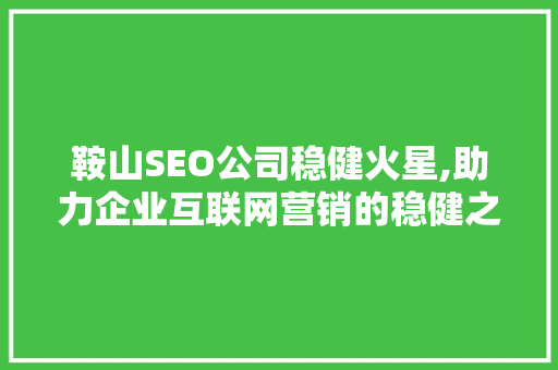 鞍山SEO公司稳健火星,助力企业互联网营销的稳健之选