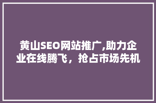 黄山SEO网站推广,助力企业在线腾飞，抢占市场先机  第1张
