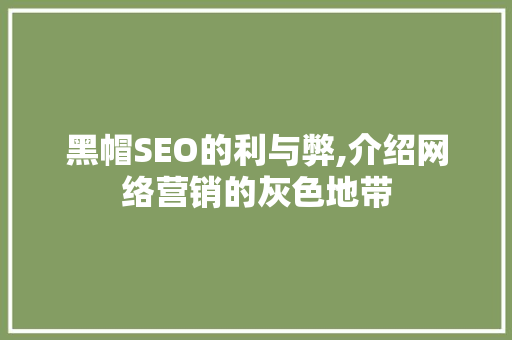 黑帽SEO的利与弊,介绍网络营销的灰色地带