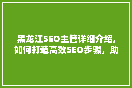 黑龙江SEO主管详细介绍,如何打造高效SEO步骤，助力企业互联网营销