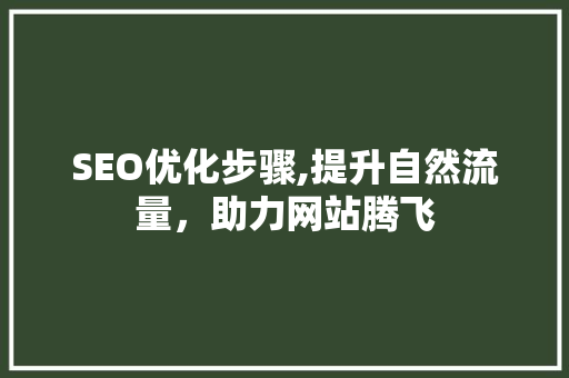 SEO优化步骤,提升自然流量，助力网站腾飞  第1张