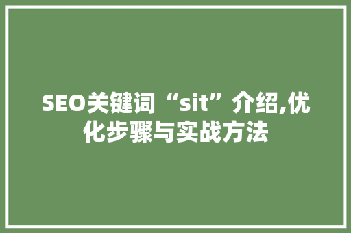 SEO关键词“sit”介绍,优化步骤与实战方法