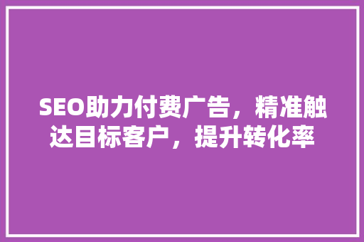 SEO助力付费广告，精准触达目标客户，提升转化率