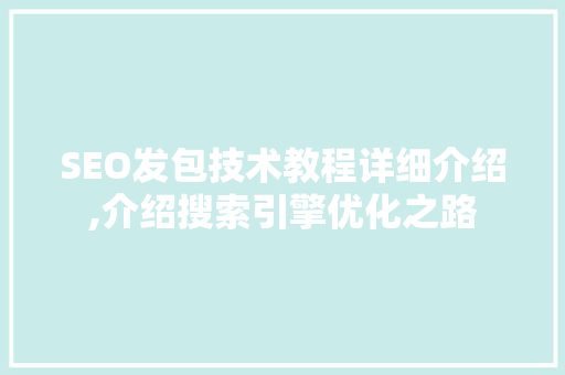 SEO发包技术教程详细介绍,介绍搜索引擎优化之路