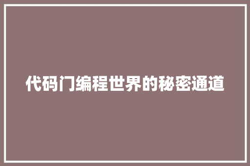 代码门编程世界的秘密通道
