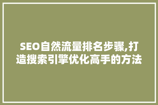 SEO自然流量排名步骤,打造搜索引擎优化高手的方法