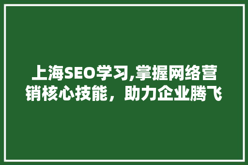 上海SEO学习,掌握网络营销核心技能，助力企业腾飞