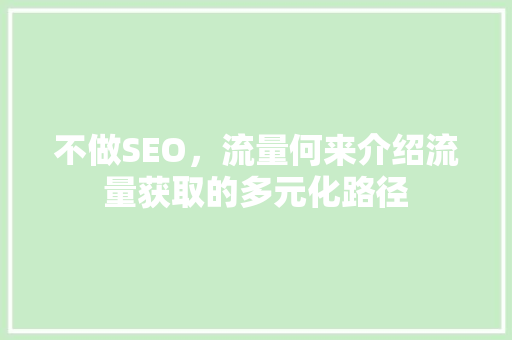 不做SEO，流量何来介绍流量获取的多元化路径