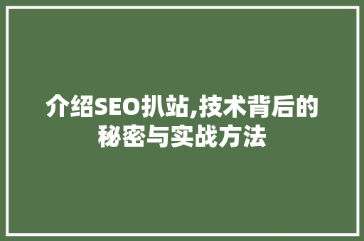 介绍SEO扒站,技术背后的秘密与实战方法