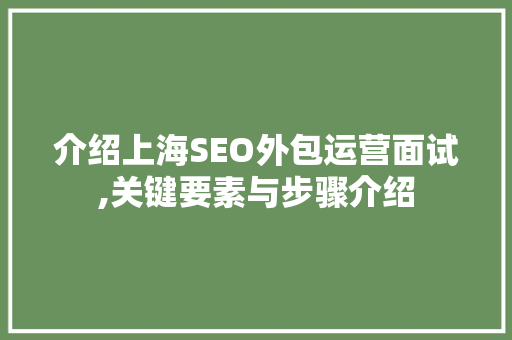 介绍上海SEO外包运营面试,关键要素与步骤介绍