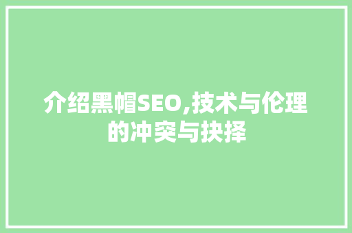 介绍黑帽SEO,技术与伦理的冲突与抉择