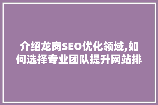 介绍龙岗SEO优化领域,如何选择专业团队提升网站排名